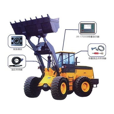 Standalone Loader Scale